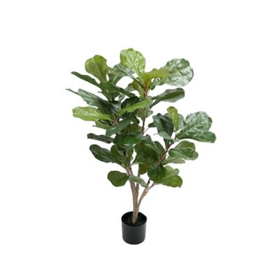Violinfigentræ kunstig plante