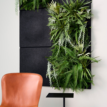 Akustikpaneler i sort med planter