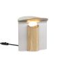 RF200 Petal Lamp