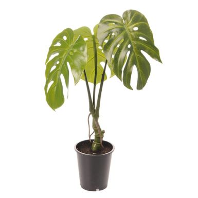 Monstera kunstig plante