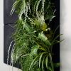 Flora panel