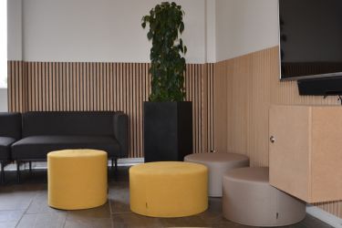 Rart studieområde