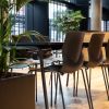 FourSure 44 stol