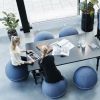 Office Ballz siddebold