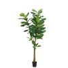 Naturtro plante i førsteklasses kvalitet