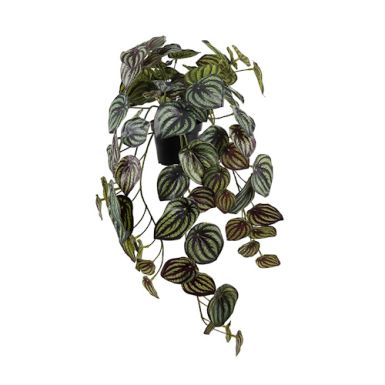 Peperomia kunstig plante