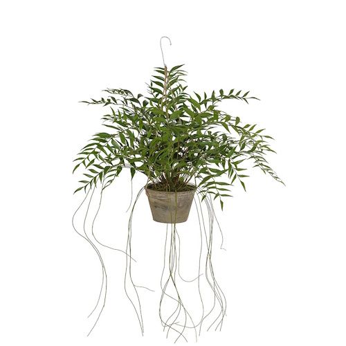 Naturtro plante i førsteklasses kvalitet