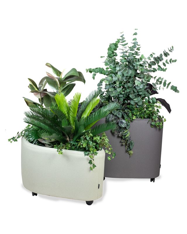 Rombo Planter