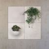 Plant and Plain vægpanel