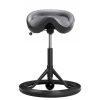 Backapp Smart balancestol