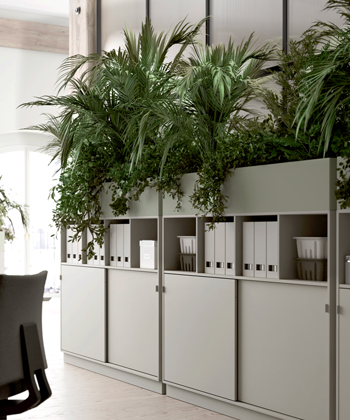 Store kontorplanter i kontoropbevaring med mapper