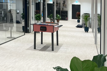 Domicil i moderne rammer