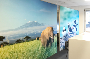 Dyrelivsmotiver på svævende akustikbilleder