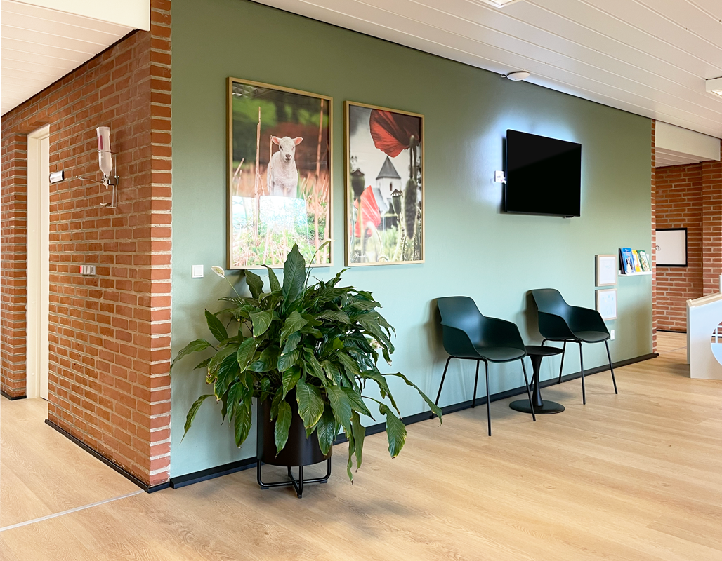 Venteværelse med stole og billeder indrettet i grønne farver