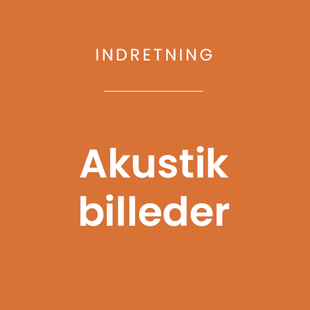 Lær om mulighederne med akustikbilleder >
