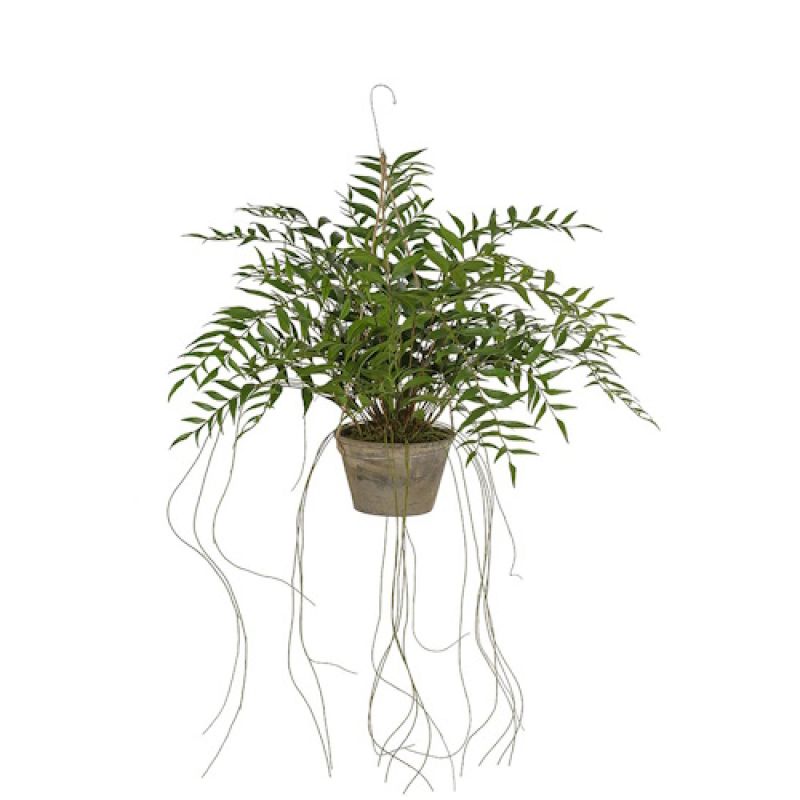 Naturtro plante i førsteklasses kvalitet