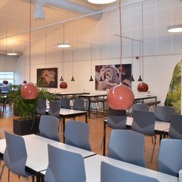 Mercantec, Viborg