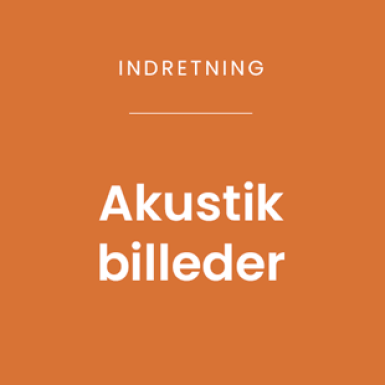 Lær om mulighederne med akustikbilleder >