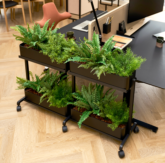Rumdeler med kontorplanter i sort